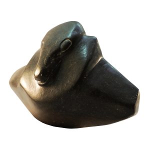 snake-head-pic2-large