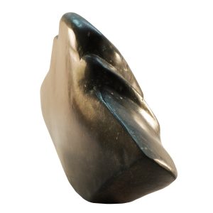 snake-head-pic3-large