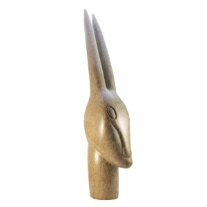 wild-antelope-pic6-large
