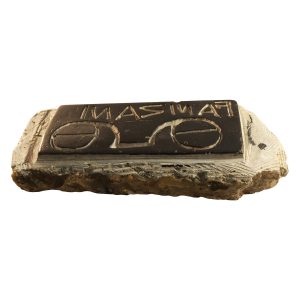 fanizani-bifocals-pic1-large