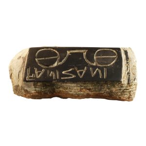 fanizani-bifocals-pic3-large