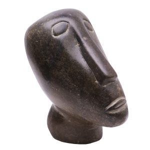 long-nose-pic2-large