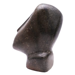 long-nose-pic4-large