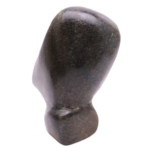 long-nose-pic5-large