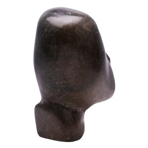 long-nose-pic6-large